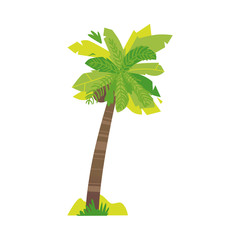 Stylized flat style cartoon coconut palm tree, vector illustration isolated on white background. Flat cartoon vector illustration of coconut palm tree, summer beach vacation element