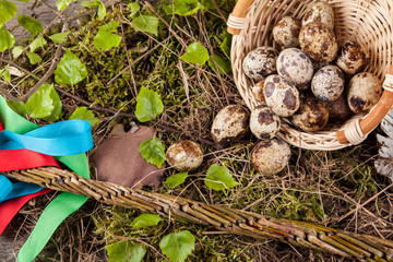 quail egg in basket on black background.