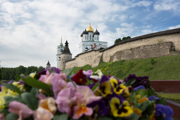 Ancient Kremlin in Pskov, in the foreground violet, Russia
