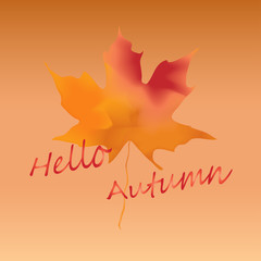 Maple leaf in watercolor style , vector