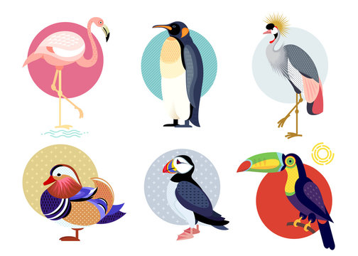 Flat icons of birds set.