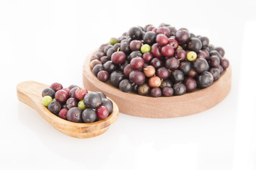 Agráz tropical fruit (Vaccinium meridionale)