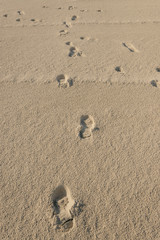 Sand
