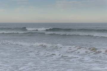 Fototapeta premium oliva coast