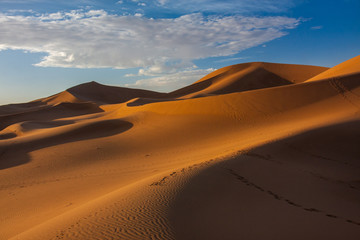 Fototapeta na wymiar The dunes of Erg Chigaga are .some of the heighest in sahara.