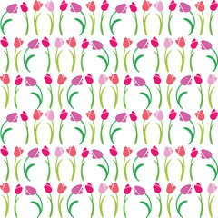 vector illustration seamless pattern tulips