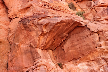 Red stone walls of the canyon.