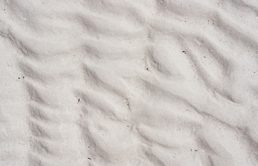 White sand beach background texture