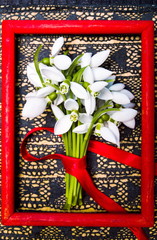 Snowdrop flowers in a red frame
