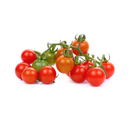 Wild tomato isolate on white background