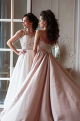 Naklejka premium Beautiful bride and bridesmaids in luxury dresses. Twins young women in wedding photosession