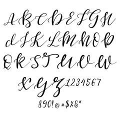 Hand drawn vector alphabet. Calligraphy letters for your design