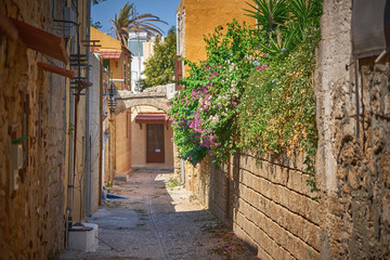 Narrow street of old Rhodes city