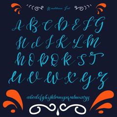 Handwritten calligraphy font. Vector alphabet. Hand drawn letters