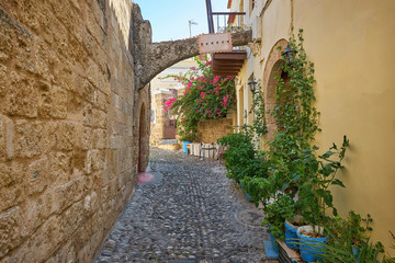 Cozy street of old Rhodes city