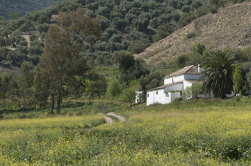 Embalse de Zahara el Gastor. Andaluc&iacute;a
