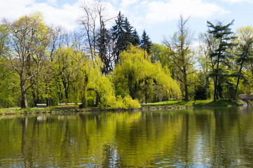 Fototapeta na wymiar Lake in the Lazienki park in spring time, Warsaw, Poland. City Park in Warsaw. Lazienki Krolewskie Park