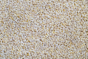 Pearl barley. Background. Texture. Copy spaсe