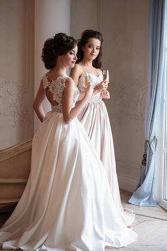 Beautiful bride and bridesmaids in luxury dresses. Twins young women in wedding photosession