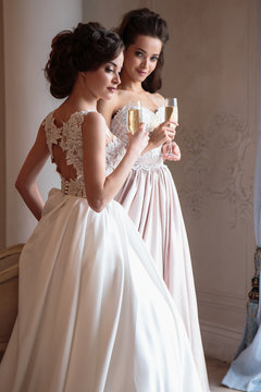 Beautiful bride and bridesmaids in luxury dresses. Twins young women in wedding photosession