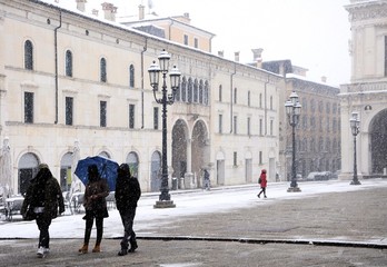 Obraz premium Three young men walk in the snowfall. 
