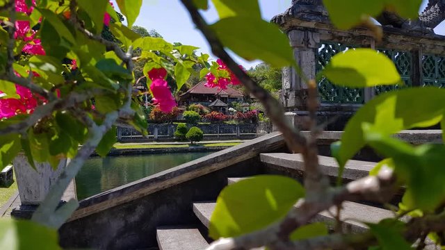 Peeping from behind a tree. First-person view. Tirta Gangga.