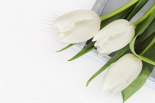 White tulips in light wooden box. Fresh bright flowers with copy space. Top view.