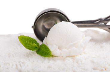 Vanilla ice cream.