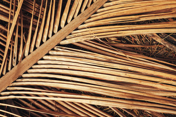 Dry palm leaf for background.