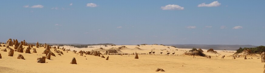 Australian desert