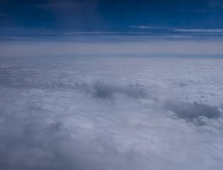 background,orange,juicy,season,crop,orchard,branch,sweet,healthy,leaf,plant,summer,fresh,natural,growth,green,tree,organic,red,food,ripe,agriculture,garden,fruit,nature, New Year, potted plants, Itali
