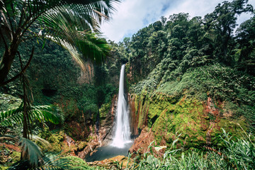Catarata del Toro into the Rainforest, Costa Rica, Central America - obrazy, fototapety, plakaty