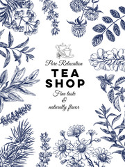 Beautiful vector hand drawn tea herbs Illustration.