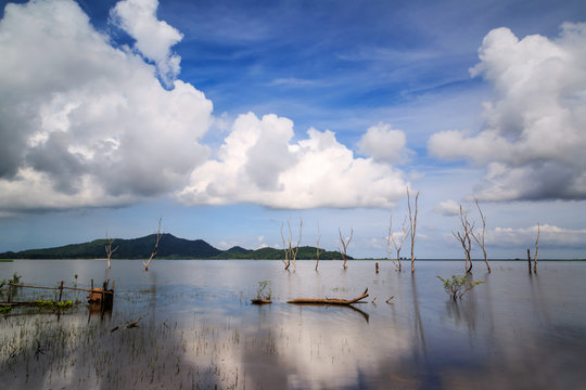 Birds sitting on dead woods and trees which standing in Big Reservoir called Bangpra at Chonburi Thailand with reflection, blue sky in background, Long Exposure shot
