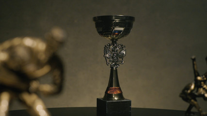 First place championship trophy or silver cup concept for winning and success. Cup for a victory in the judo championship. Cup for sporting achievement