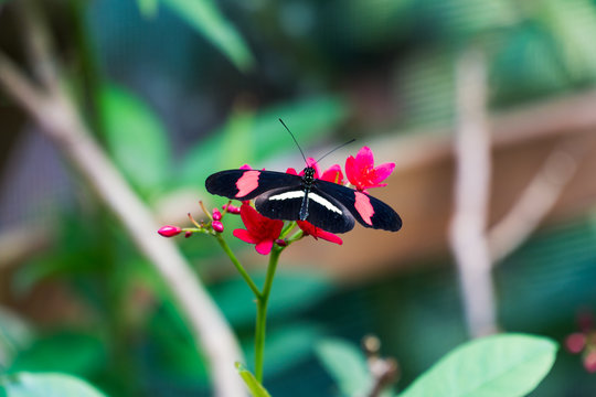 Marco Photos Images Assets Adobe Stock