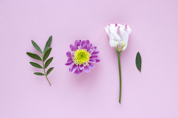Pink-white flowers and leaves on pink pastel background. Valentine Day, Mothers day, birthday, spring concept. Minimalistic floral background in flat lay style, top view.