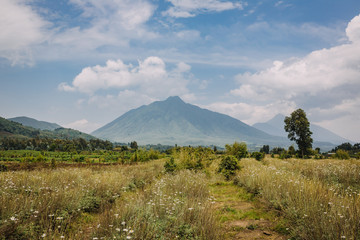 Fototapeta na wymiar Vulcano in Rwanda 