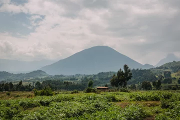 Foto op Canvas vulcano in Rwanda  © Dennis