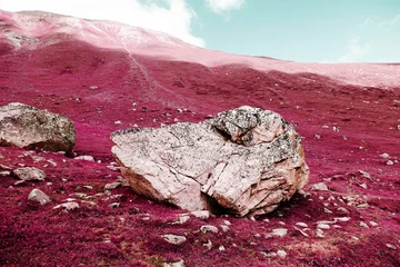 Selbstklebende Fototapeten Hochrot Ein großer Felsen auf den Schweizer Alpen in der Farbe Infrarot  © CoolimagesCo