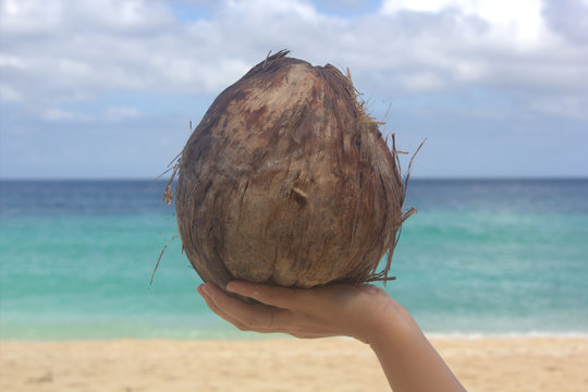 coconut, sea, island Borakay Filippiny