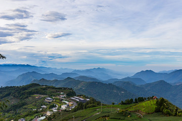 Fototapeta na wymiar Mountains, tea gardens and fog in Taiwan.