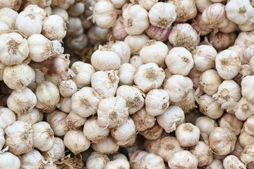 garlic at the market