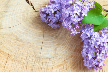 Beautiful lilac flowers on a wooden vintage board