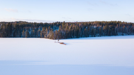 Fototapeta na wymiar Winter in Finland, snow and forest