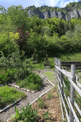 Jardin pédagogique. Jardin des Cimes. Plateau d'Assy. Haute-Savoie. Educational garden. Garden of the Peaks. Assy Plateau. Haute-Savoie.