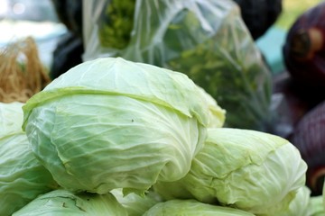 cabbage at the market