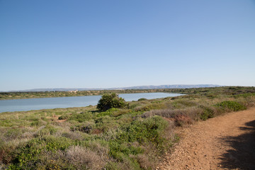 Path on the coast, nature reserve oriented to the Oasis of Vendicari