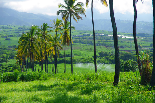 La Réunion - L’Étang-Salé, le Gol
