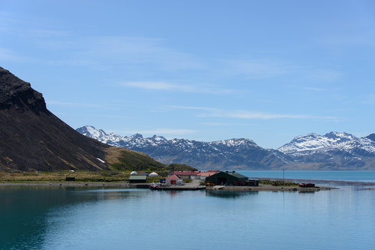 Grytviken - old whaling station on South Georgia
